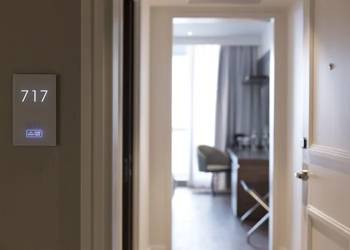 麦卡德尼娜皇宫酒店